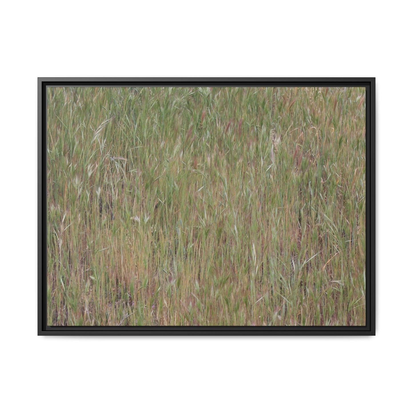 Field of Dreams - Unique Stretched Canvas Wall Art - Art By Earth