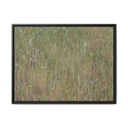 Field of Dreams - Unique Stretched Canvas Wall Art - Art By Earth