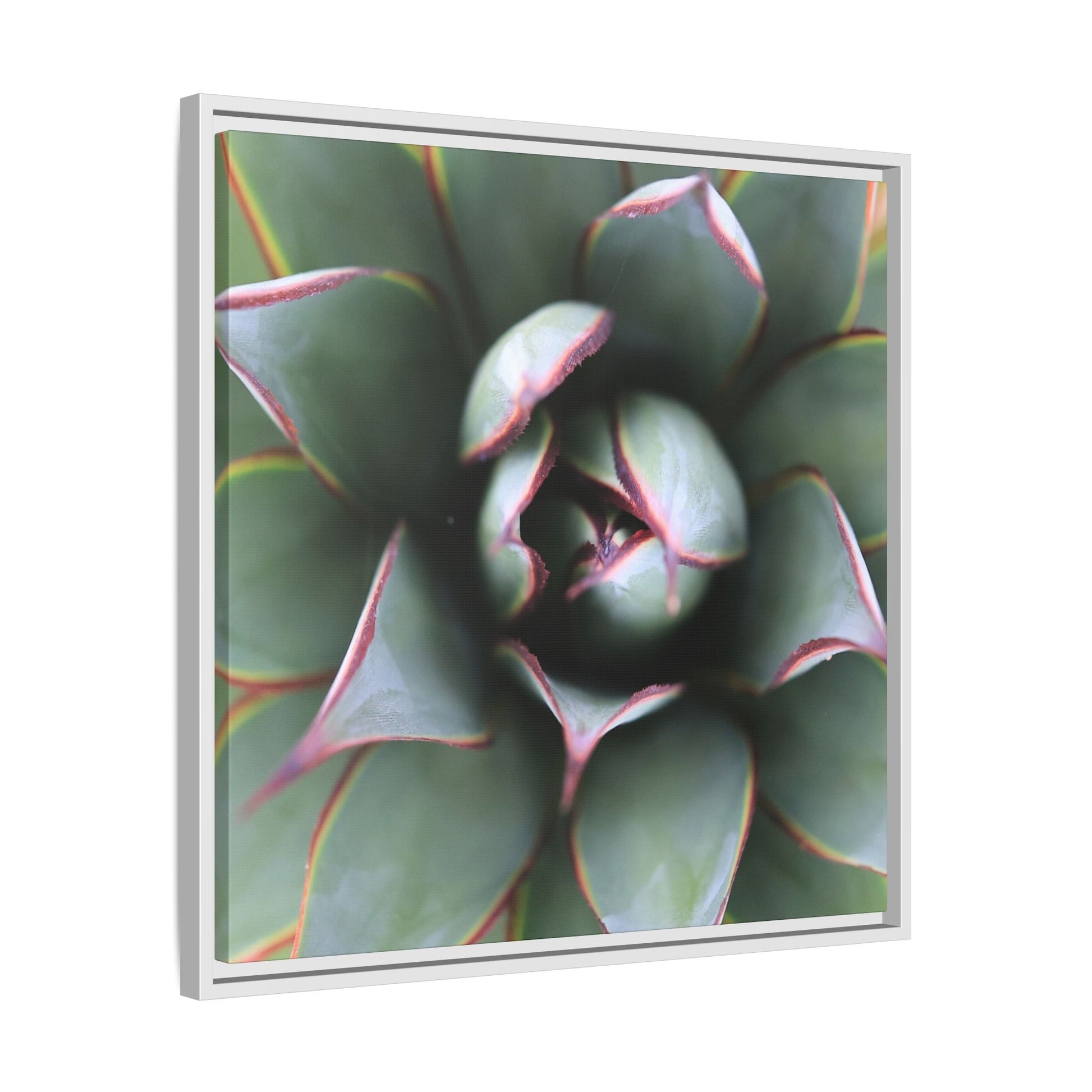 Spiky Elegance - Unique Stretched Canvas Wall Art - Art By Earth