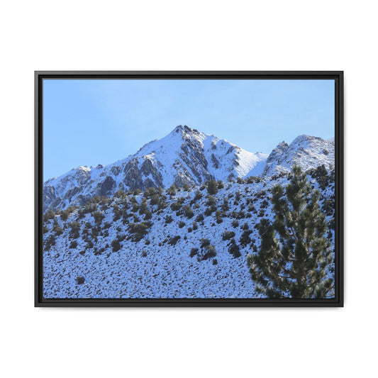 Snow's Embrace - Unique Stretched Canvas Wall Art