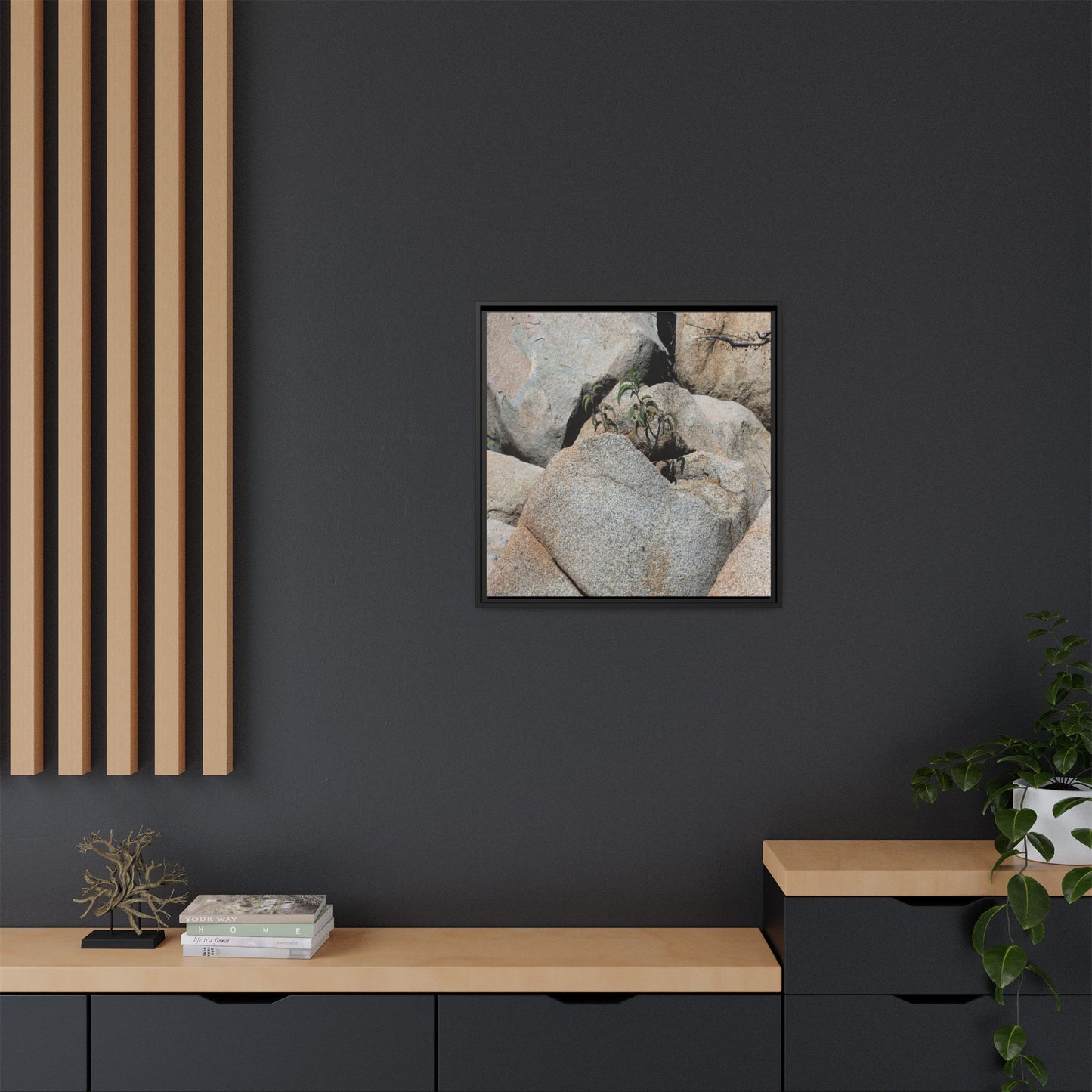 Desert Plant Thriving Among Rocks - Unique Stretched Canvas Wall Art