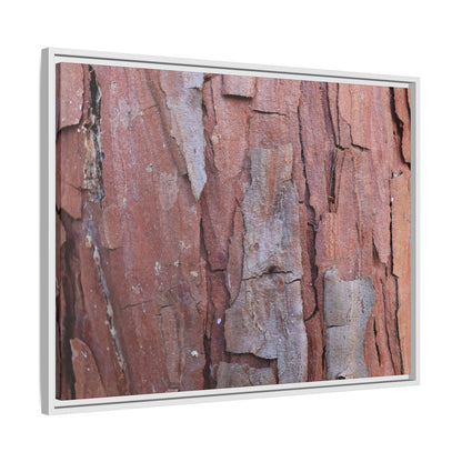 Peeling Bark - Unique Stretched Canvas Wall Art - Art By Earth