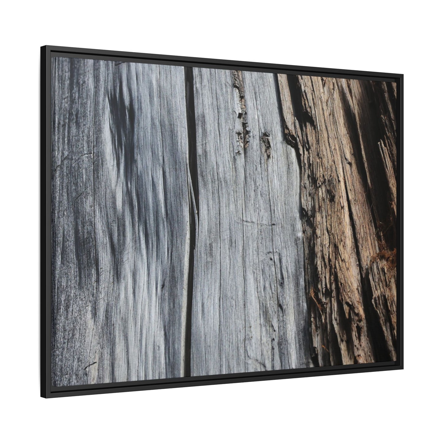 Wood's Lament - Unique Stretched Canvas Wall Art - Art By Earth