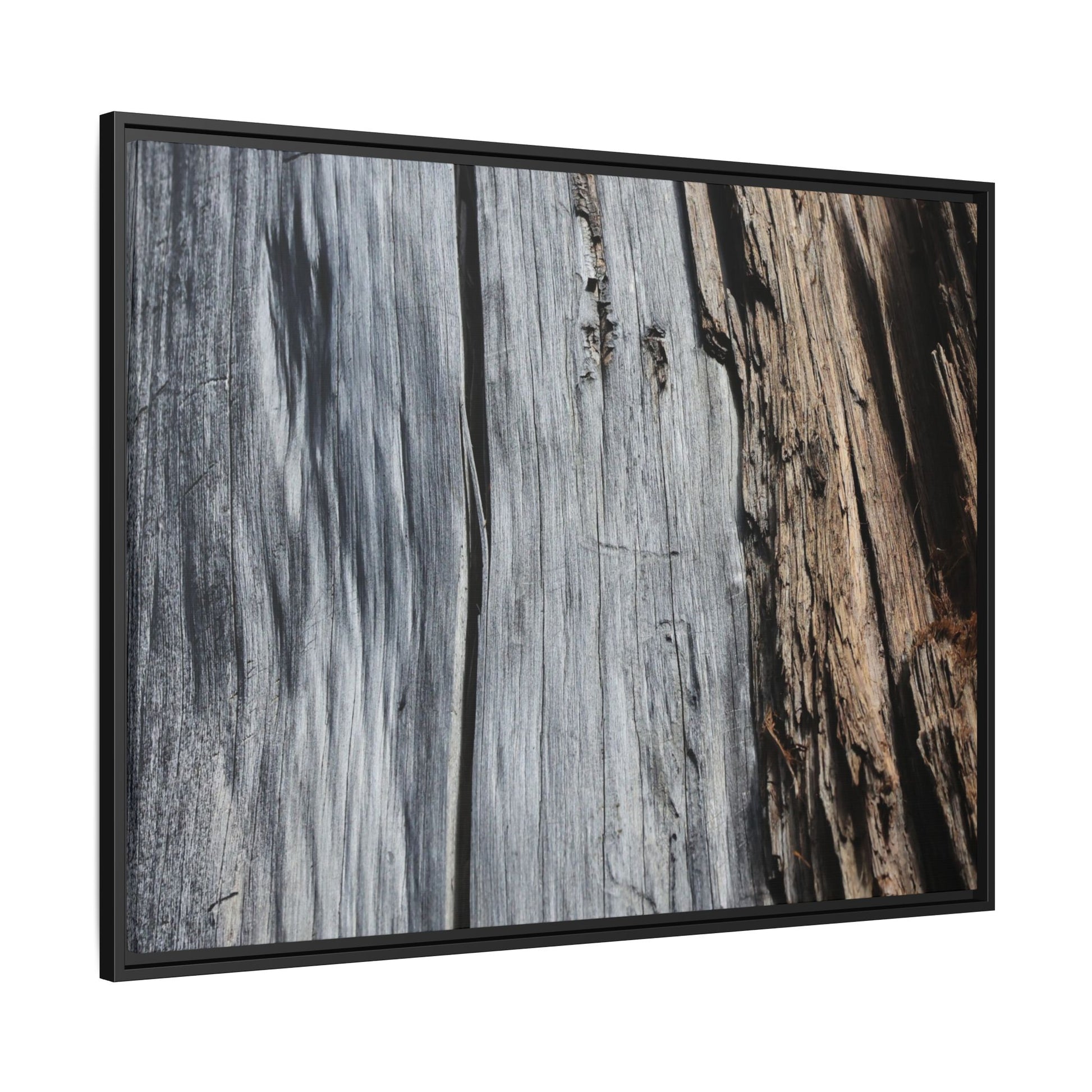 Wood's Lament - Unique Stretched Canvas Wall Art - Art By Earth