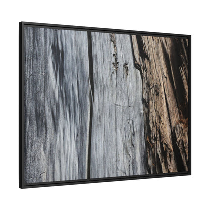 Wood's Lament - Unique Stretched Canvas Wall Art - Art By Earth