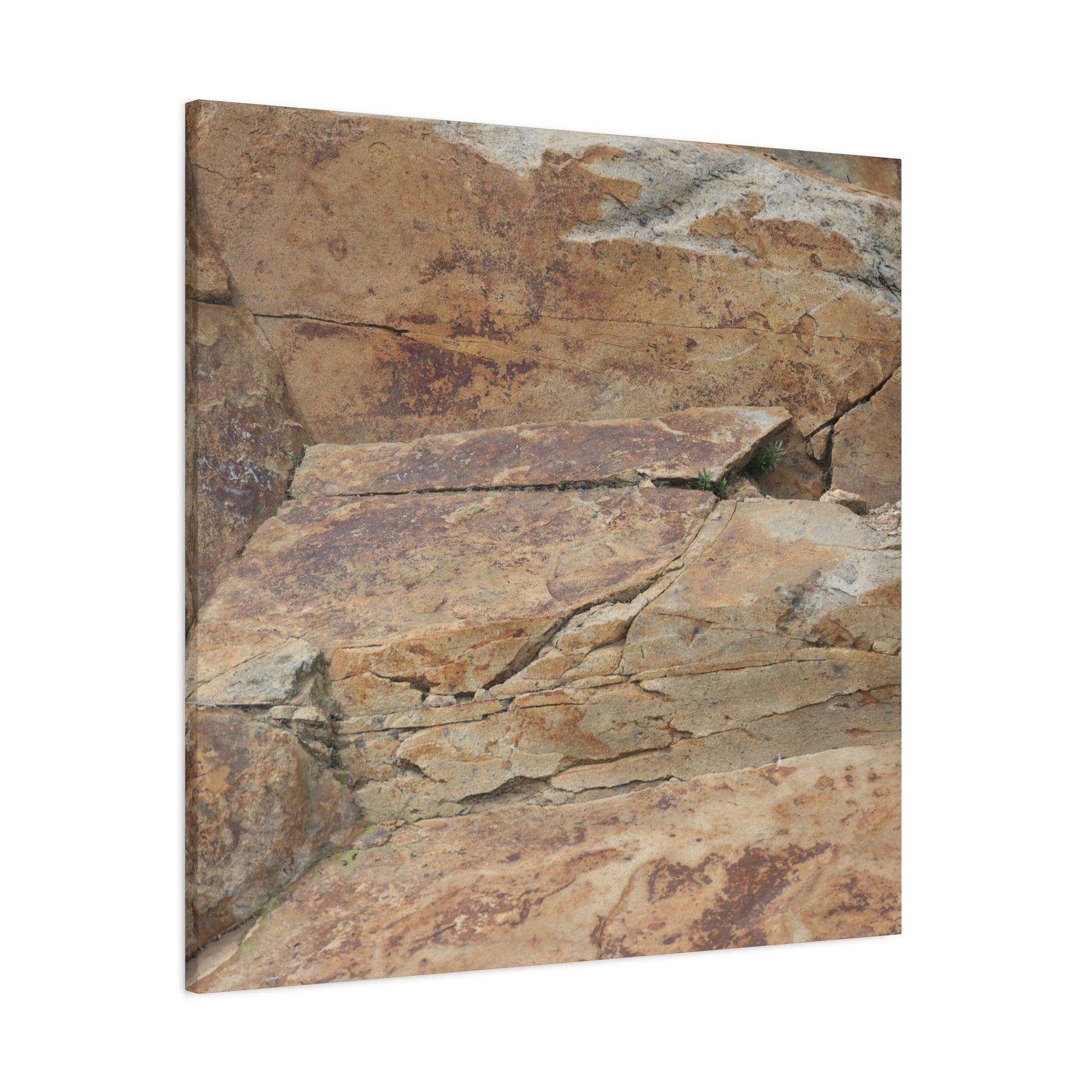 Rocky Terrain - Unique Frameless Canvas Wall Art - Art By Earth