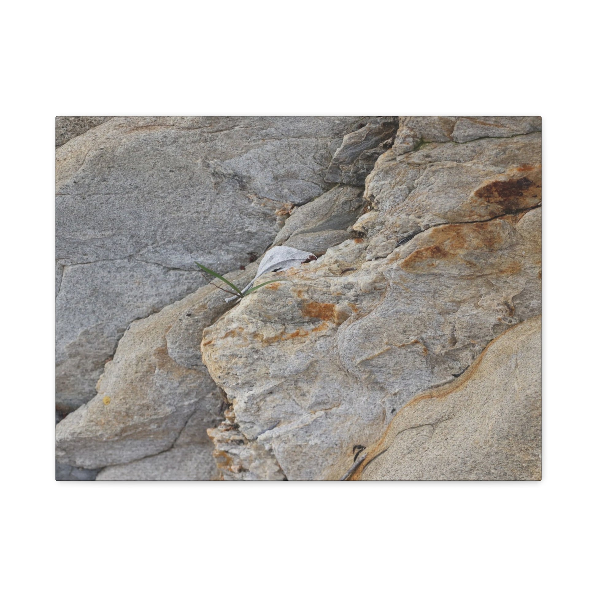 Fractal Earth - Unique Frameless Canvas Wall Art - Art By Earth