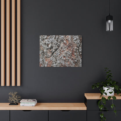 Textured Whispers of Bark - Unique Frameless Canvas Wall Art - Art By Earth