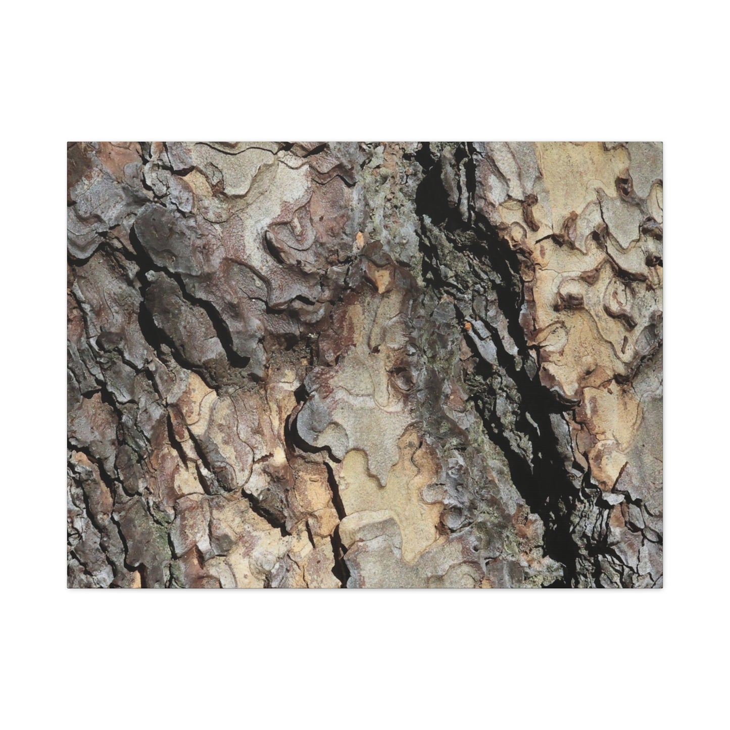 Wooden Labyrinth - Unique Frameless Canvas Wall Art - Art By Earth