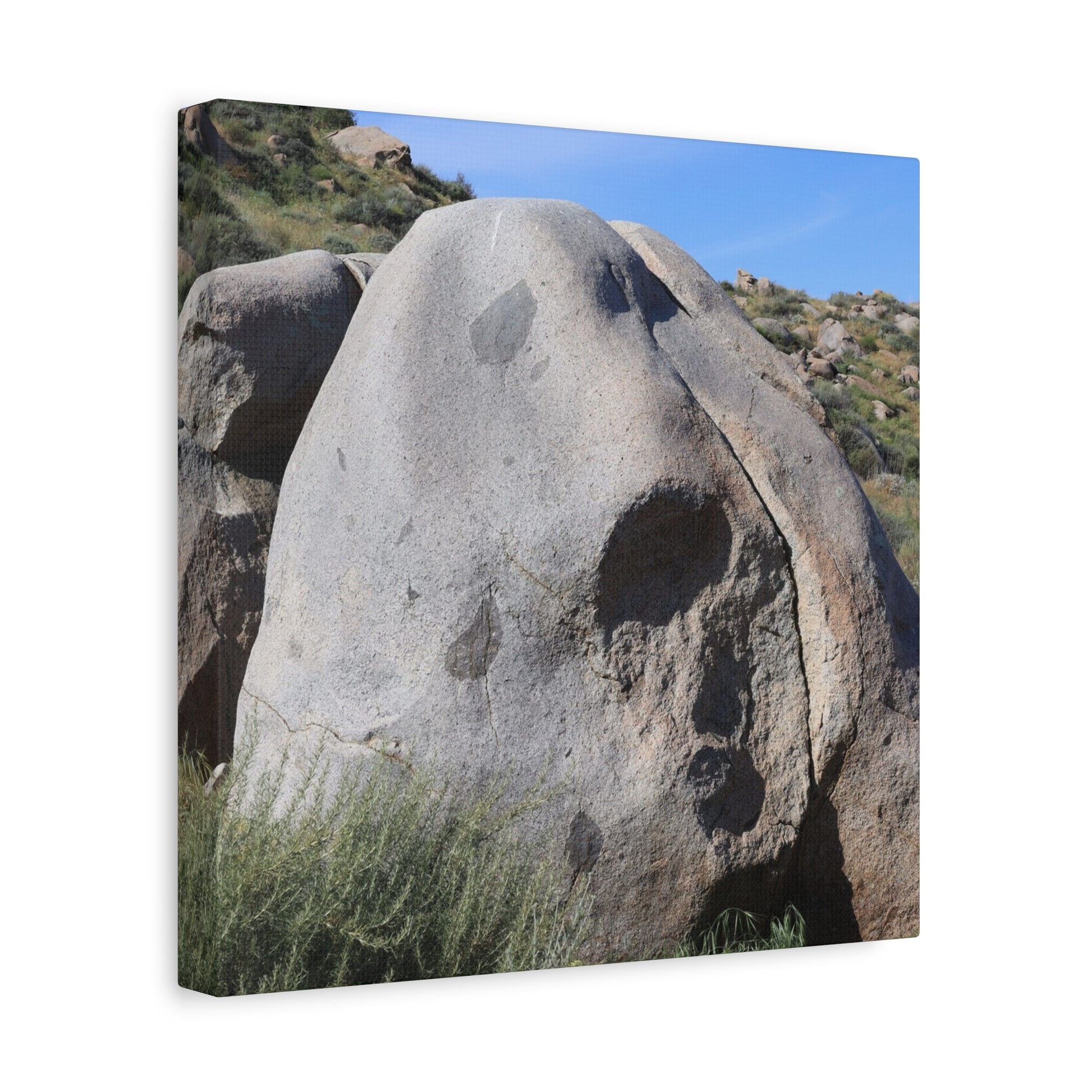 Skull Rock - Unique Frameless Canvas Wall Art - Art By Earth
