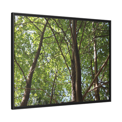 Forest Branches - Unique Stretched Canvas Wall Art