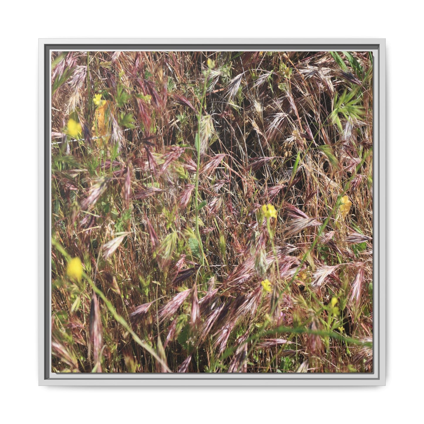 Autumn Meadow - Unique Stretched Canvas Wall Art - Art By Earth