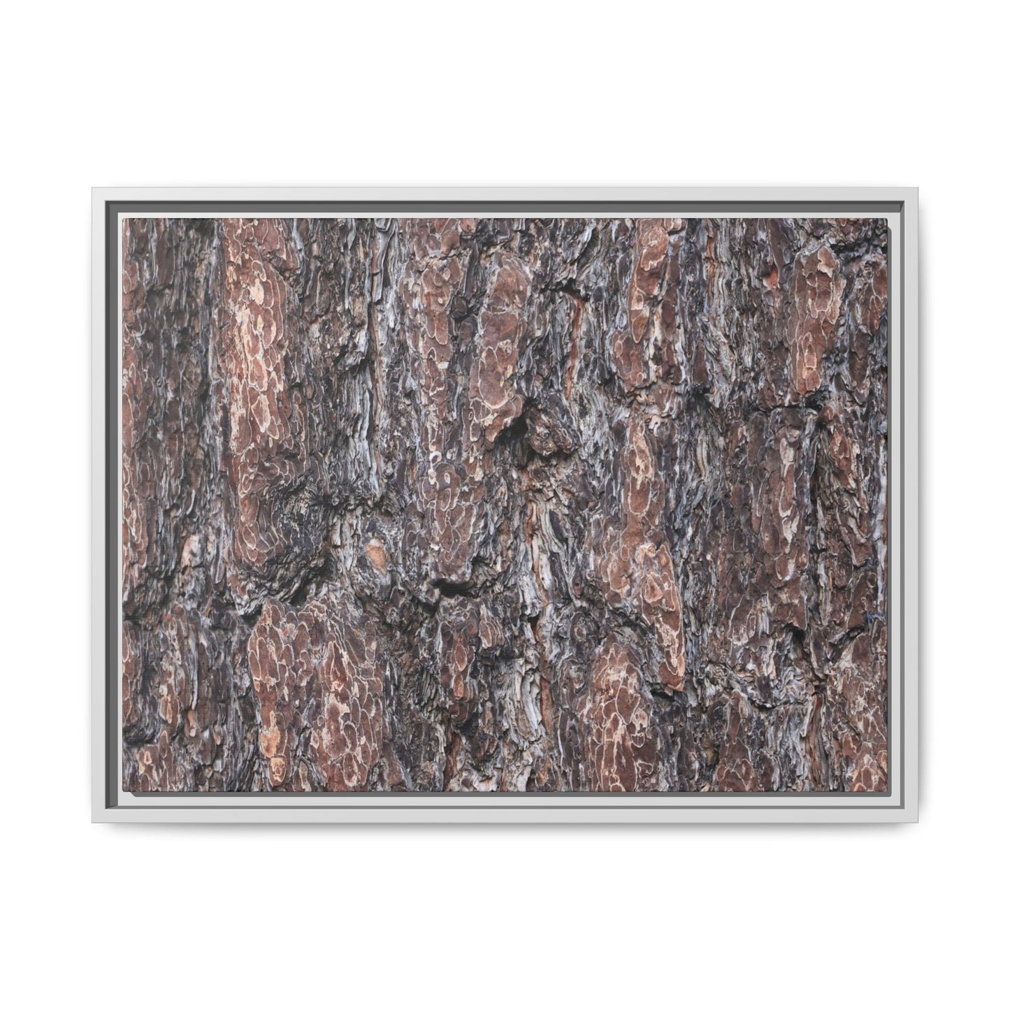 Echoes of Wood - Unique Stretched Canvas Wall Art