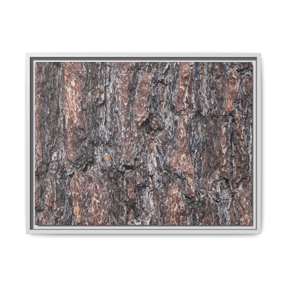 Echoes of Wood - Unique Stretched Canvas Wall Art