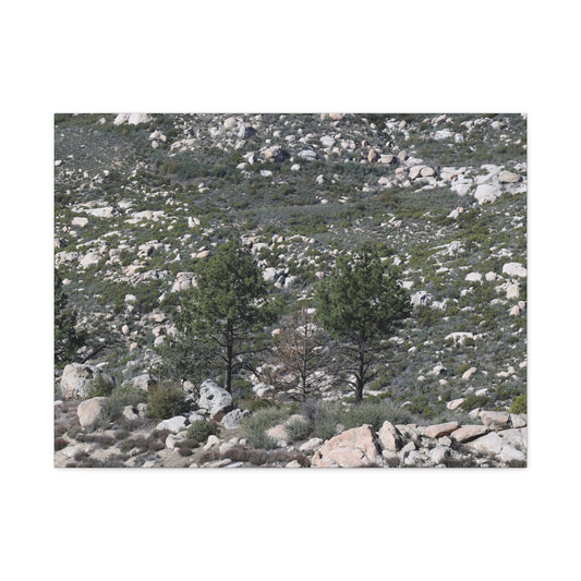 Rocky Mountain Landscape - Unique Frameless Canvas Wall Art - Art By Earth