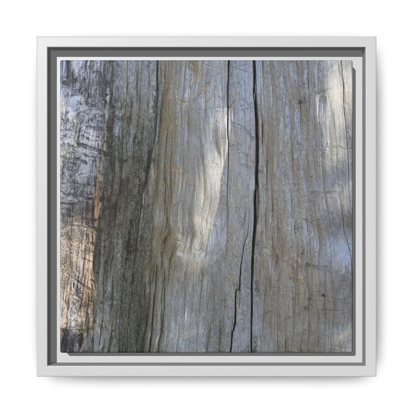 Cracked Timber Texture - Unique Stretched Canvas Wall Art