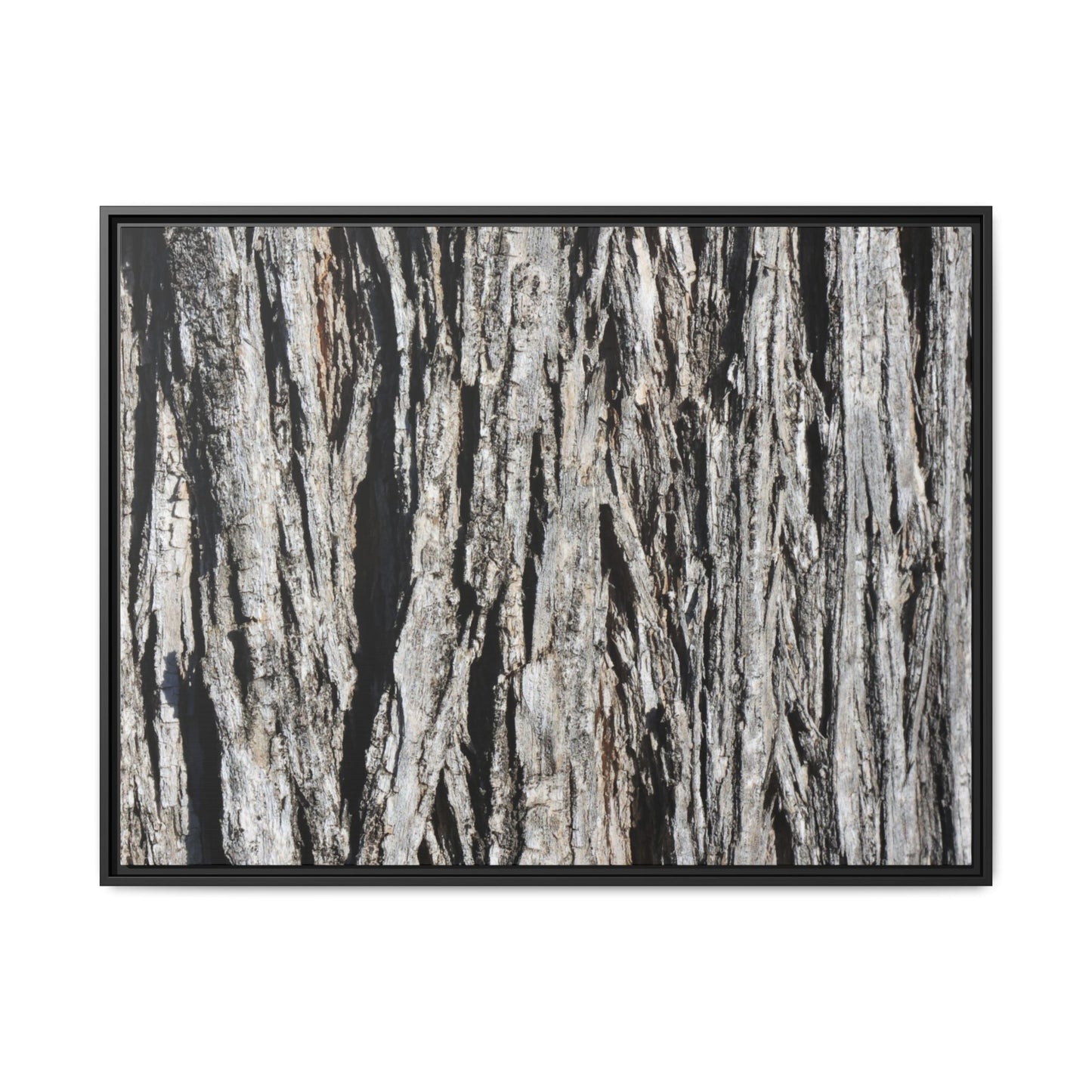Nature's Abstract - Unique Stretched Canvas Wall Art - Art By Earth