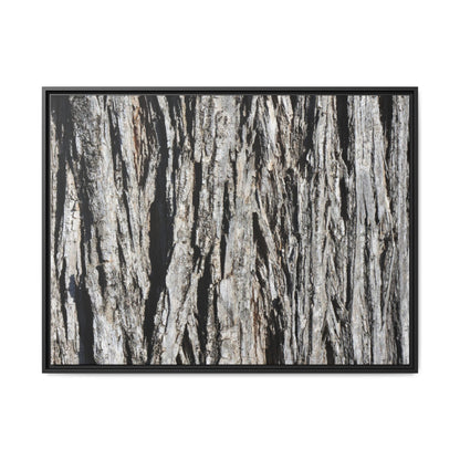Nature's Abstract - Unique Stretched Canvas Wall Art - Art By Earth