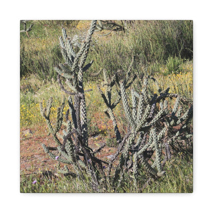 Desert Bloom in Shadow - Unique Frameless Canvas Wall Art - Art By Earth