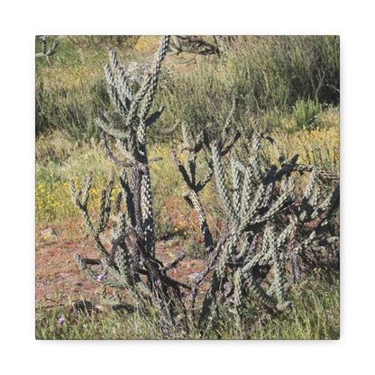 Desert Bloom in Shadow - Unique Frameless Canvas Wall Art - Art By Earth