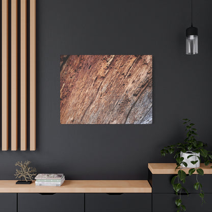 Natural Wood Grain - Unique Frameless Canvas Wall Art - Art By Earth