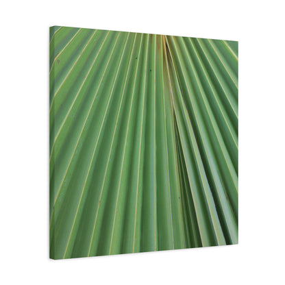 Fan of Green - Unique Frameless Canvas Wall Art - Art By Earth