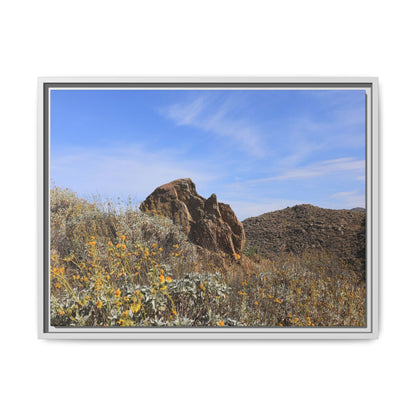 Golden Flowers in Arid Landscape - Unique Stretched Canvas Wall Art - Art By Earth