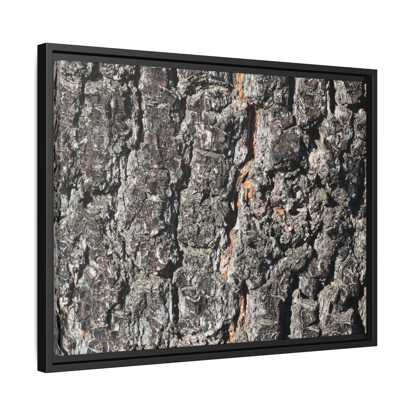 Aged Beauty - Unique Stretched Canvas Wall Art - Art By Earth