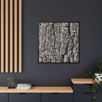 Bark Study in Gray - Unique Stretched Canvas Wall Art - Art By Earth