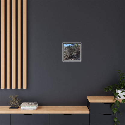 Desert Trail Through Blooming Manzanita - Unique Stretched Canvas Wall Art