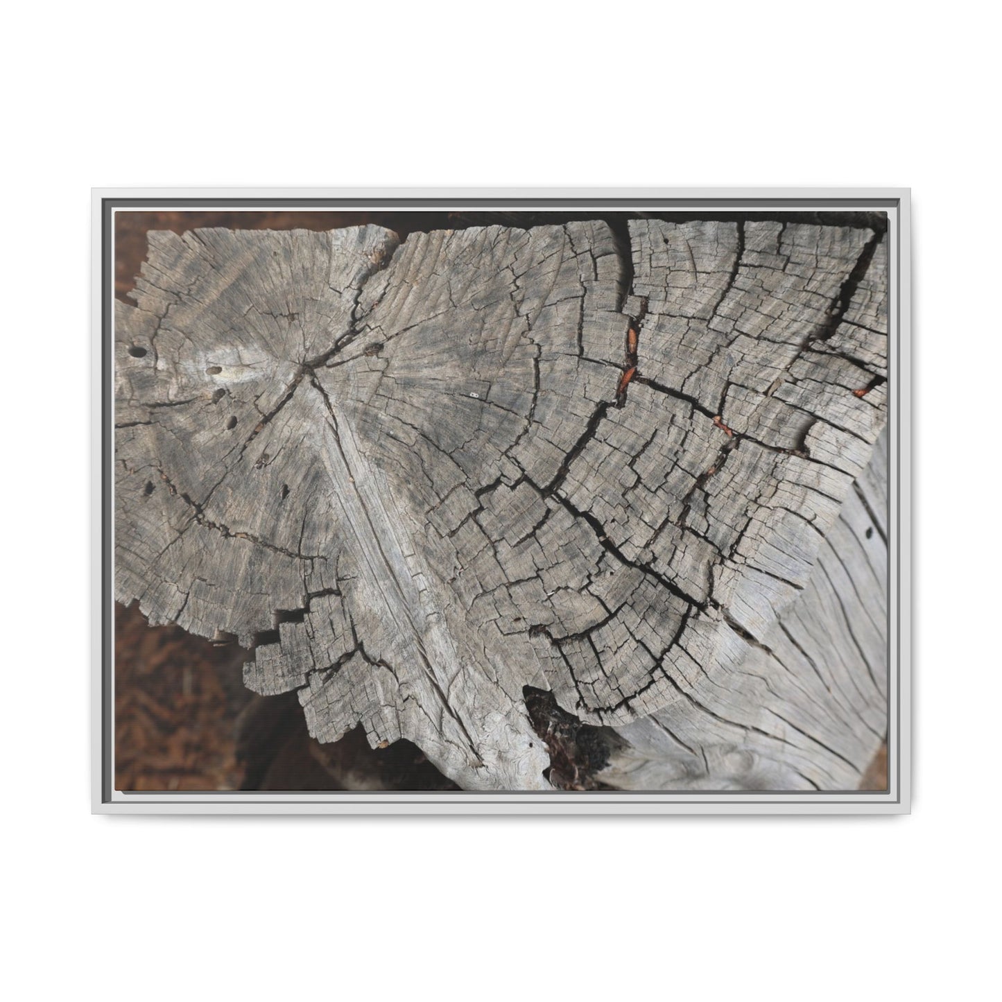 Time's Signature - Unique Stretched Canvas Wall Art - Art By Earth