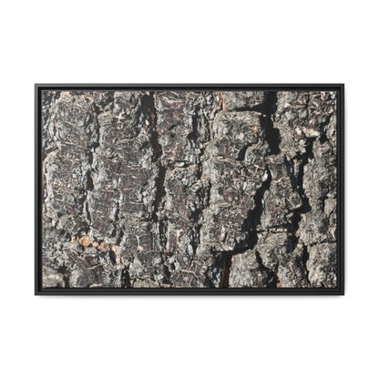 Bark Study in Gray - Unique Stretched Canvas Wall Art - Art By Earth