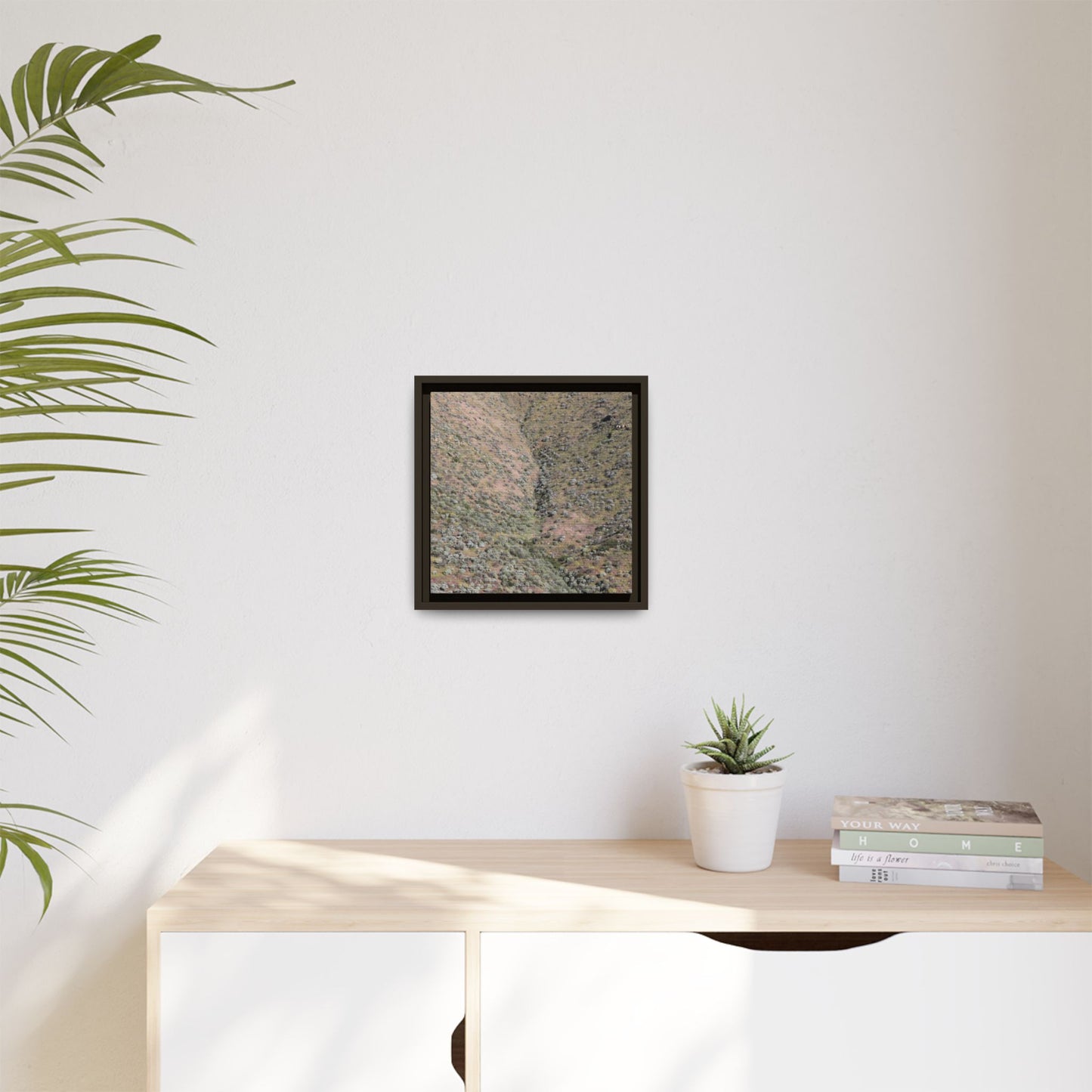 Mountain Slope with Desert Vegetation - Unique Stretched Canvas Wall Art - Art By Earth