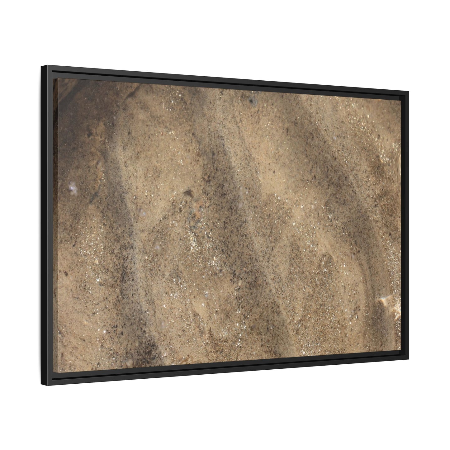 Tidal Pool Secrets - Unique Stretched Canvas Wall Art - Art By Earth