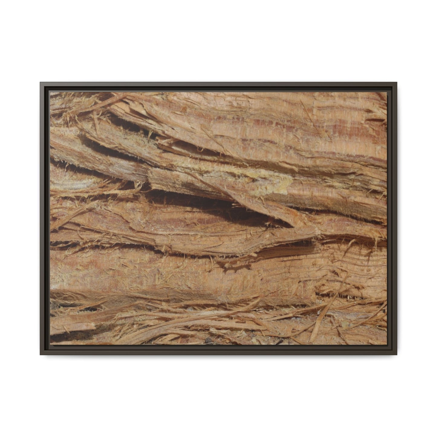 Splintered Bark - Unique Stretched Canvas Wall Art - Art By Earth