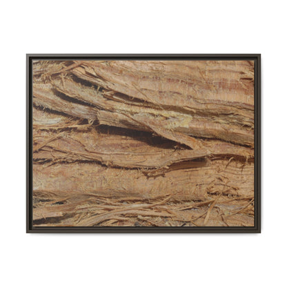 Splintered Bark - Unique Stretched Canvas Wall Art - Art By Earth