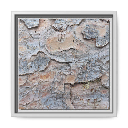 Peeling Memories - Unique Stretched Canvas Wall Art - Art By Earth