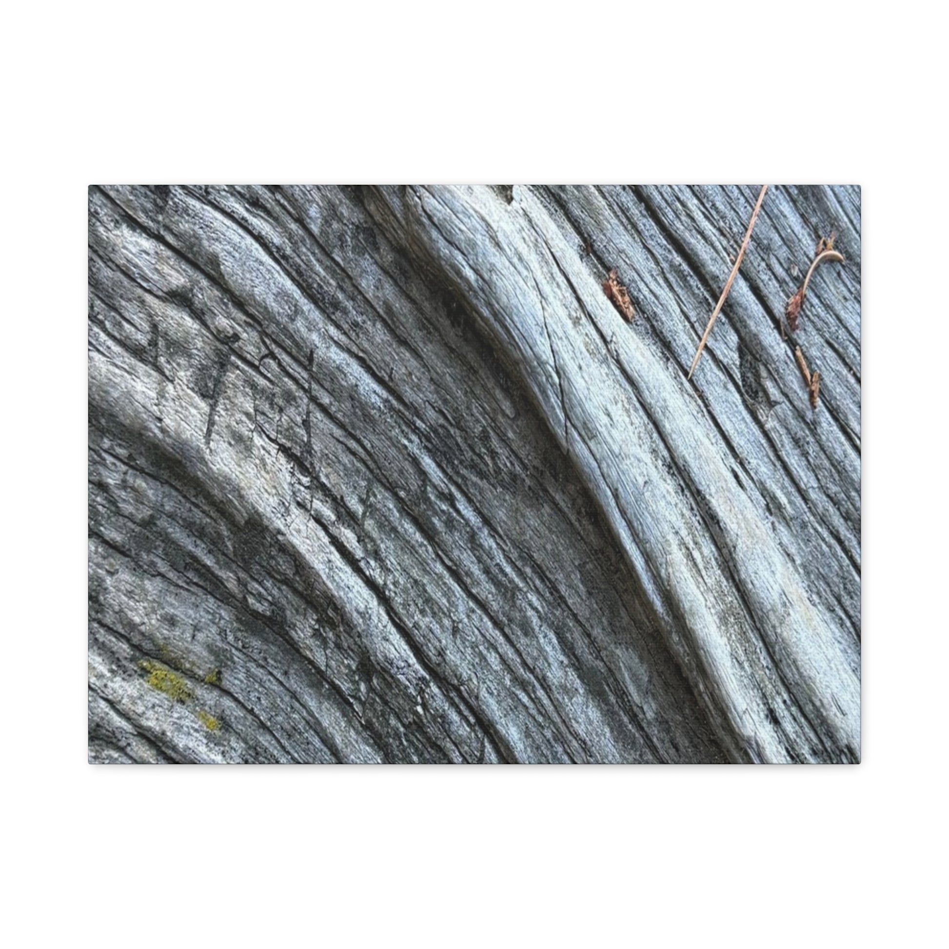 Aged Surface - Unique Frameless Canvas Wall Art - Art By Earth