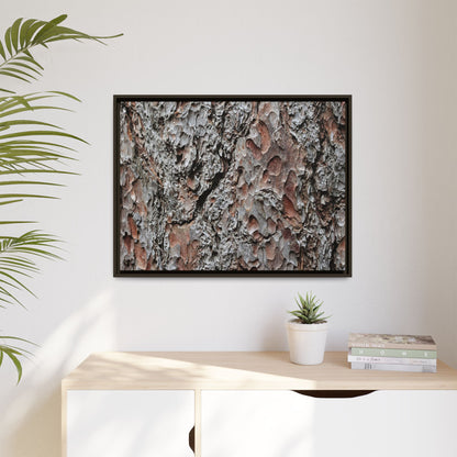 Bark Texture Symphony - Unique Stretched Canvas Wall Art - Art By Earth