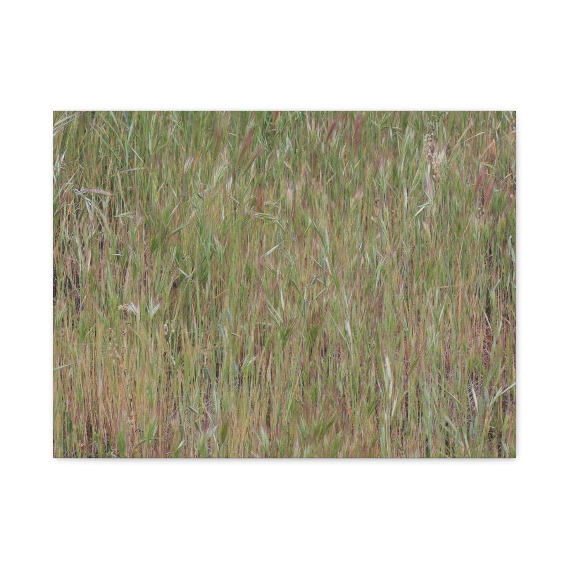 Whispers of the Prairie - Unique Frameless Canvas Wall Art - Art By Earth