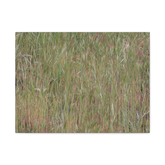 Whispers of the Prairie - Unique Frameless Canvas Wall Art - Art By Earth
