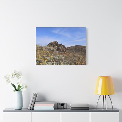 Desert Bloom - Unique Frameless Canvas Wall Art - Art By Earth
