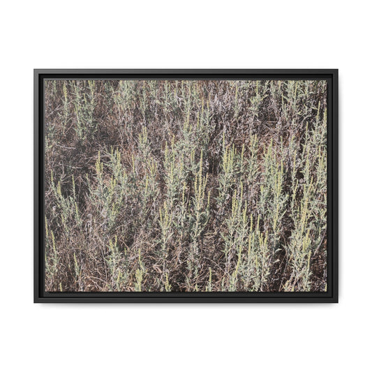 Sage Fields Forever - Unique Stretched Canvas Wall Art - Art By Earth
