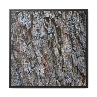 Woodland Skin - Unique Stretched Canvas Wall Art - Art By Earth