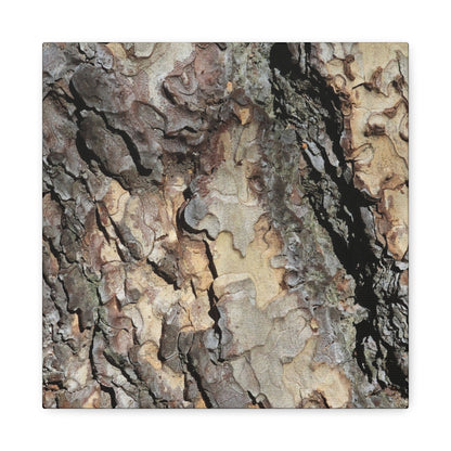 Tree Bark Symphony - Unique Frameless Canvas Wall Art - Art By Earth