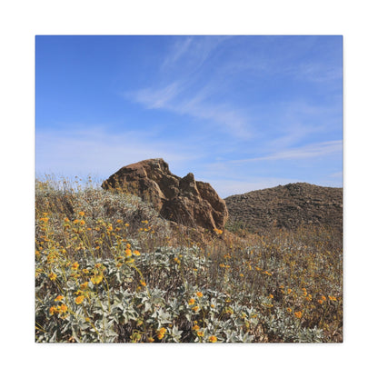 Desert Bloom - Unique Frameless Canvas Wall Art - Art By Earth