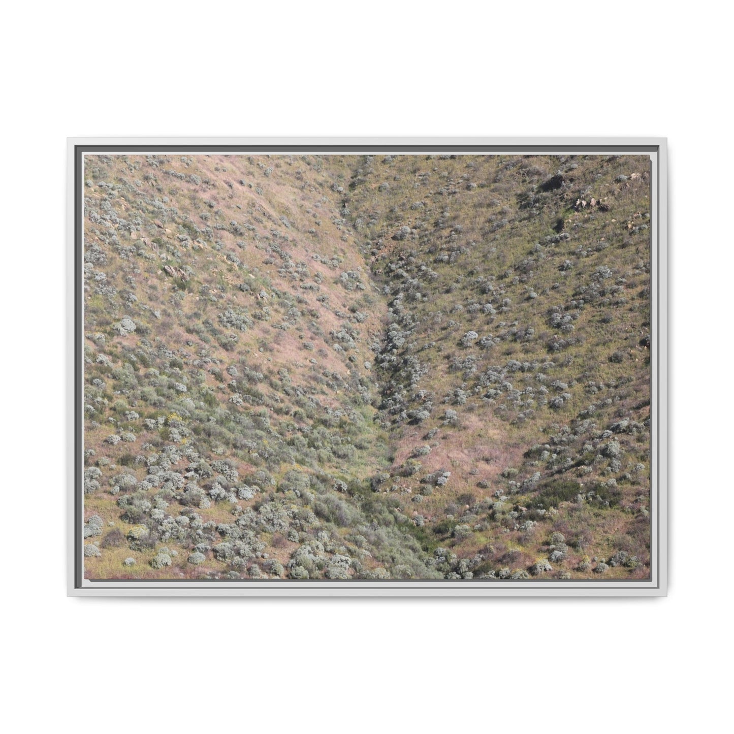 Mountain Slope with Desert Vegetation - Unique Stretched Canvas Wall Art - Art By Earth