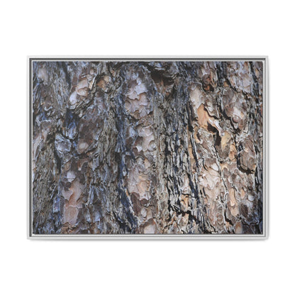 Weathered Patterns - Unique Stretched Canvas Wall Art - Art By Earth