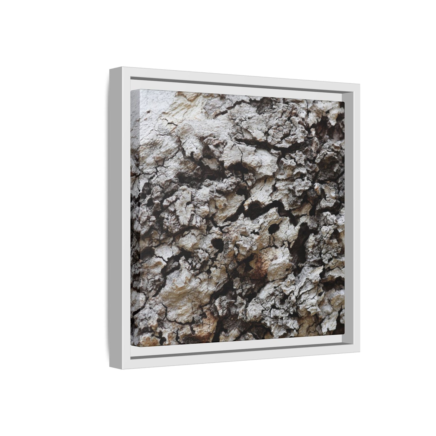 Cracked Terrain - Unique Stretched Canvas Wall Art - Art By Earth