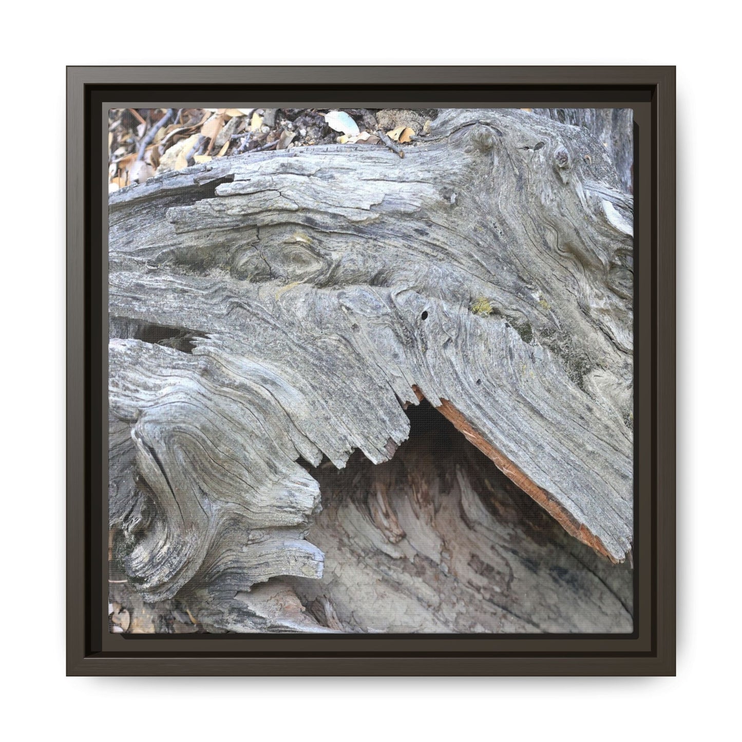 Driftwood Dreams - Unique Stretched Canvas Wall Art - Art By Earth